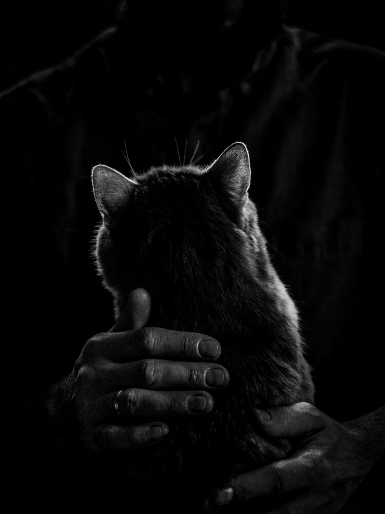 Photograph by Dina Damotseva