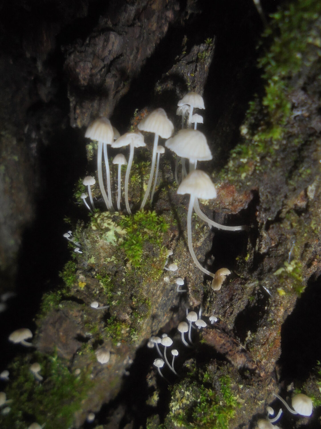 Photo #13946357