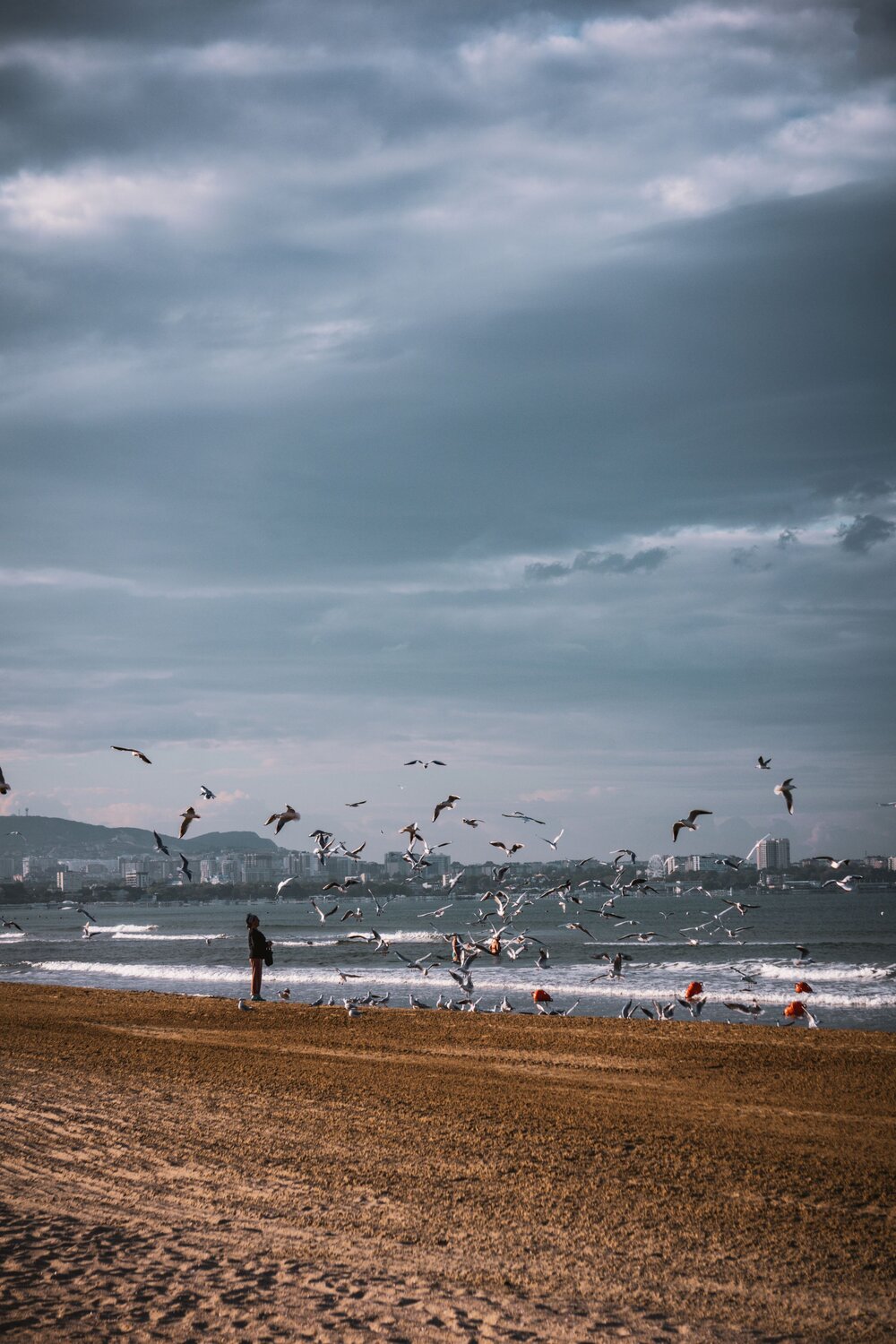 Photo #13946963