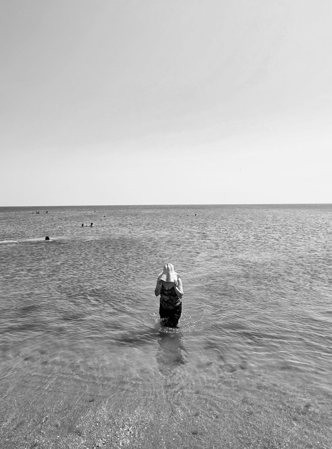 Photo #13947045