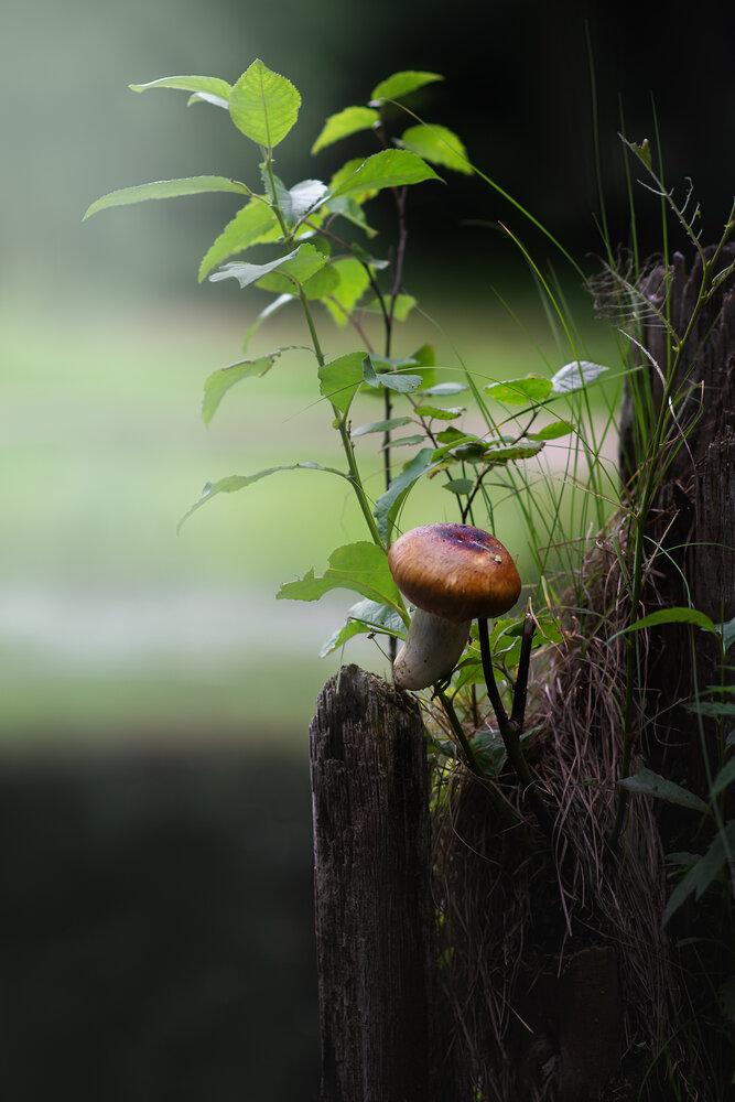 Photograph by Людмила Подольская
