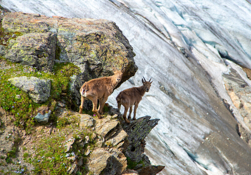 Photograph by Бамблевская Любовь Игоревна
