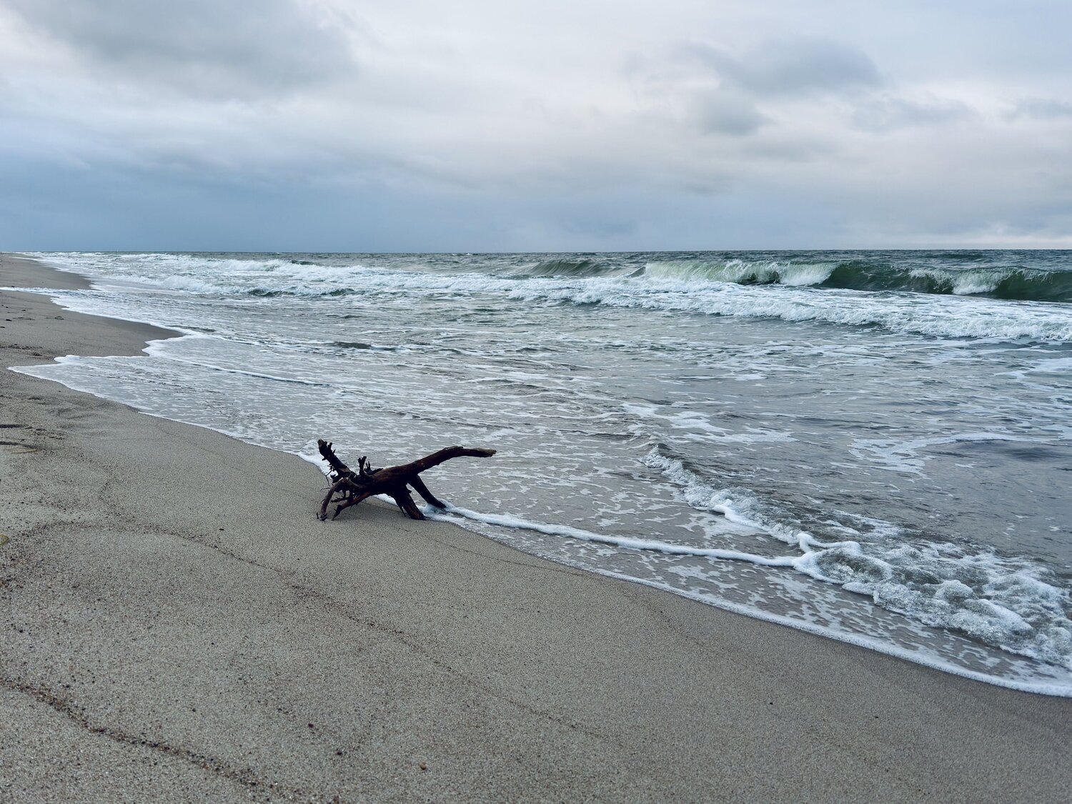 Photo #13947227