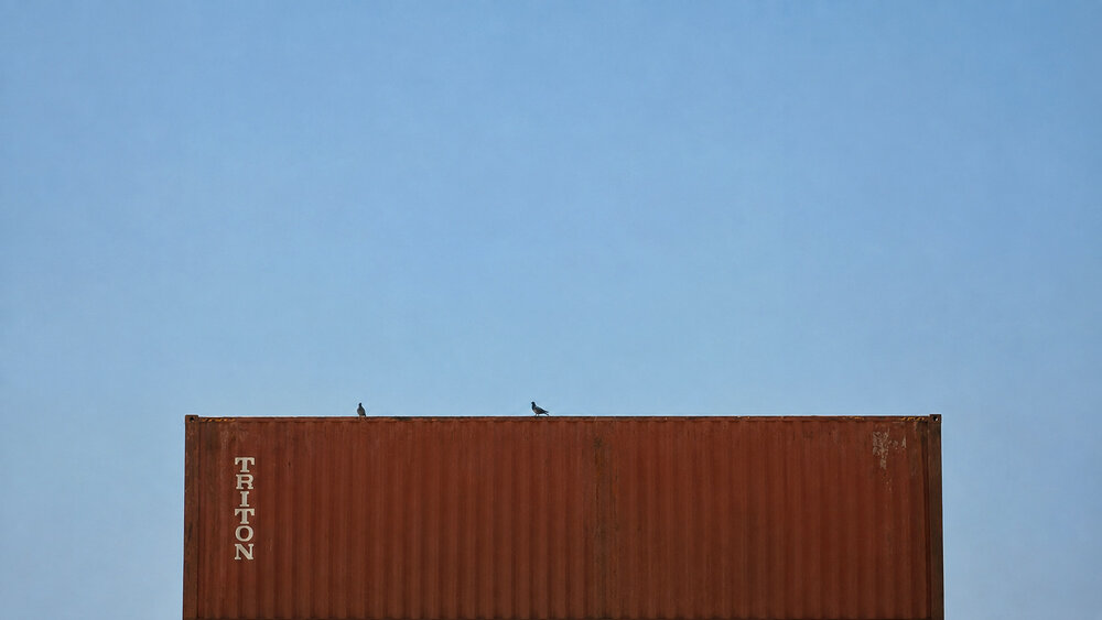 Photograph by Kamyab Saraei
