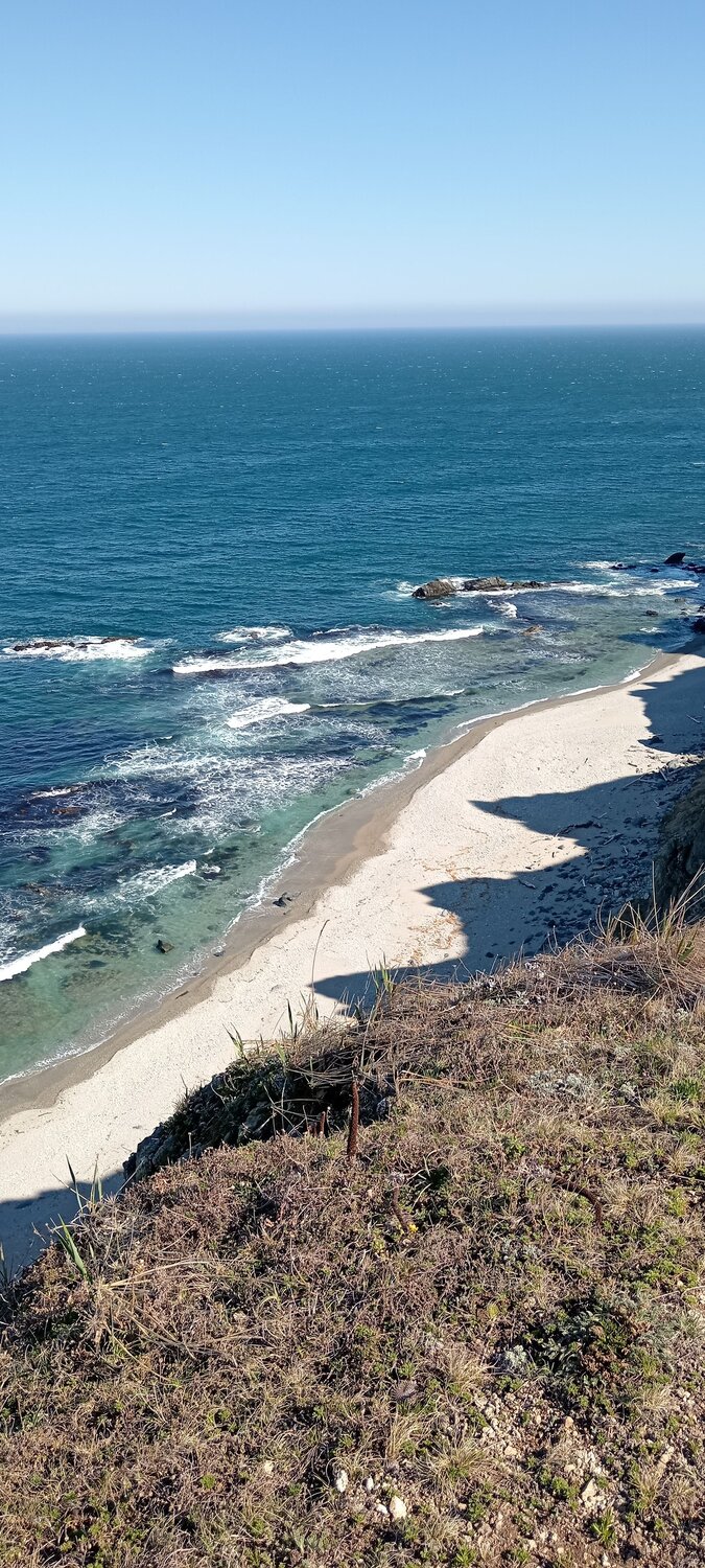 Photo #13947355