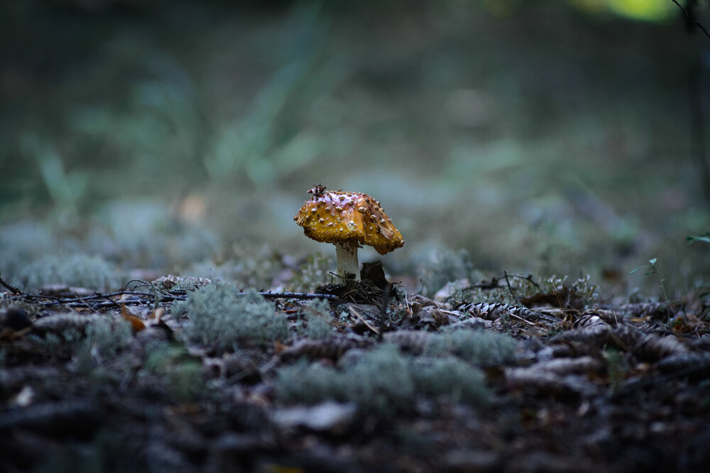 Photograph by Олег Бережных