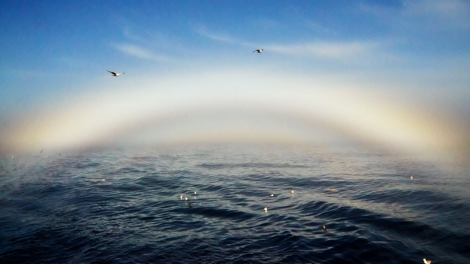 Photo #13947697