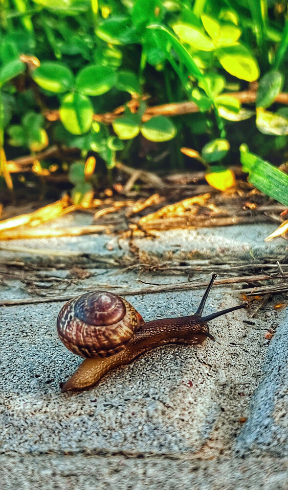 Slow moment