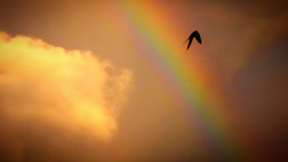 Photograph by Егор Чинарев