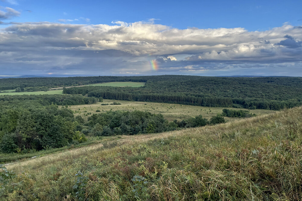 Photograph by Веста Ягужинская
