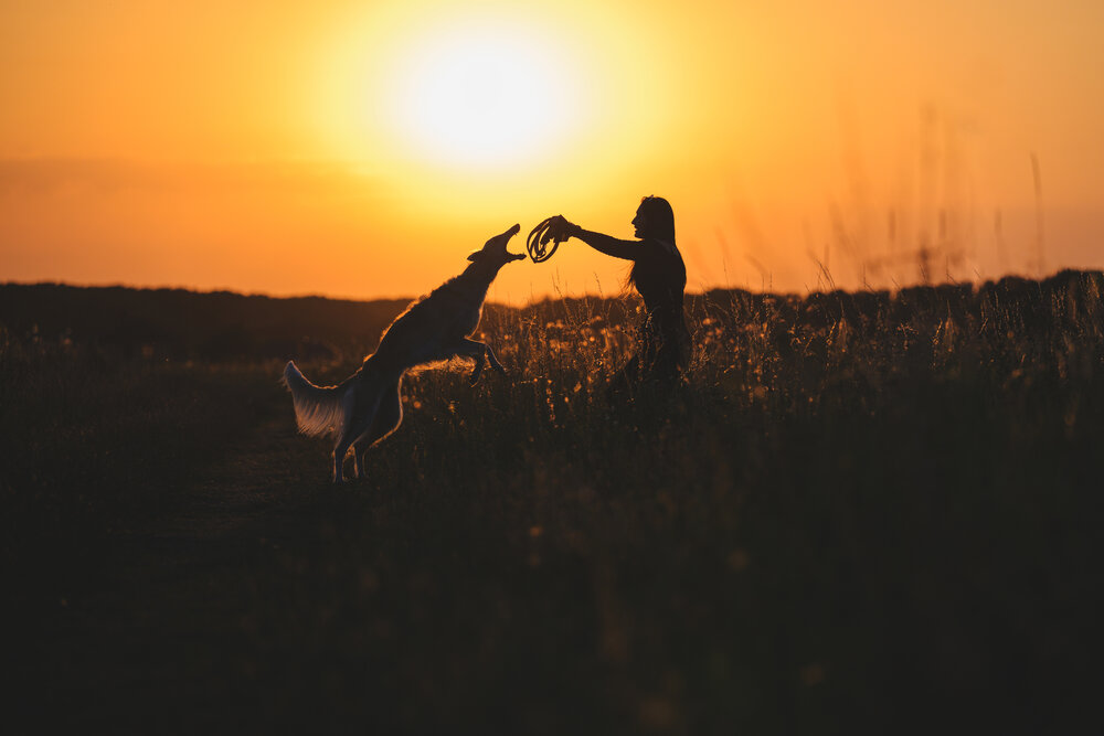 Photograph by Кудлай Яна