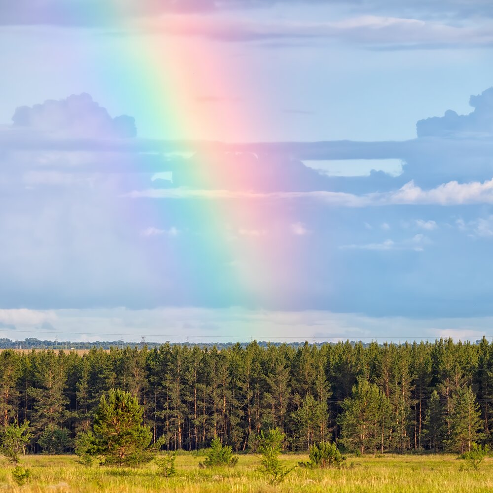 Photograph by Олег Белан