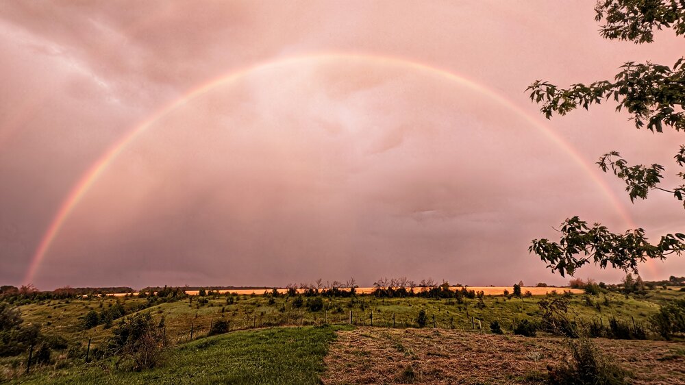 Photograph by Любовь Колмакова
