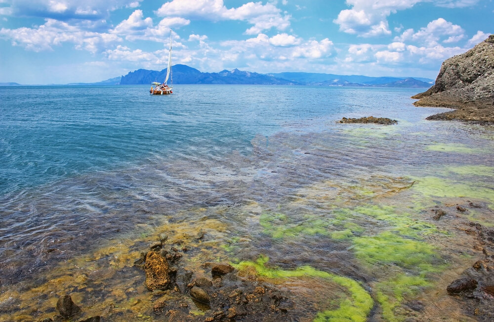 Крымский пейзаж.