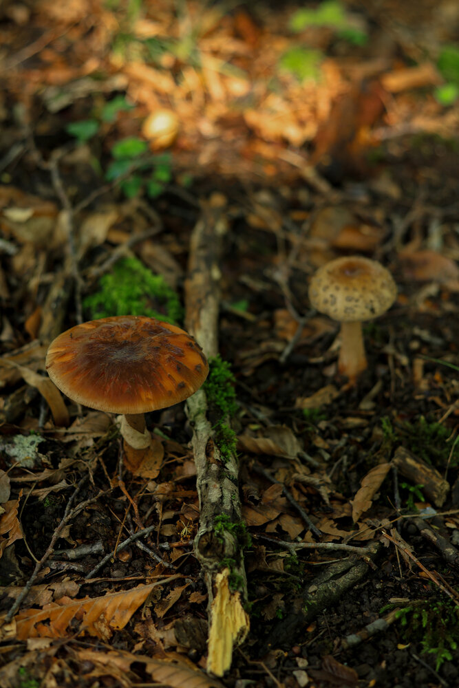 Photograph by Наталья Малышева