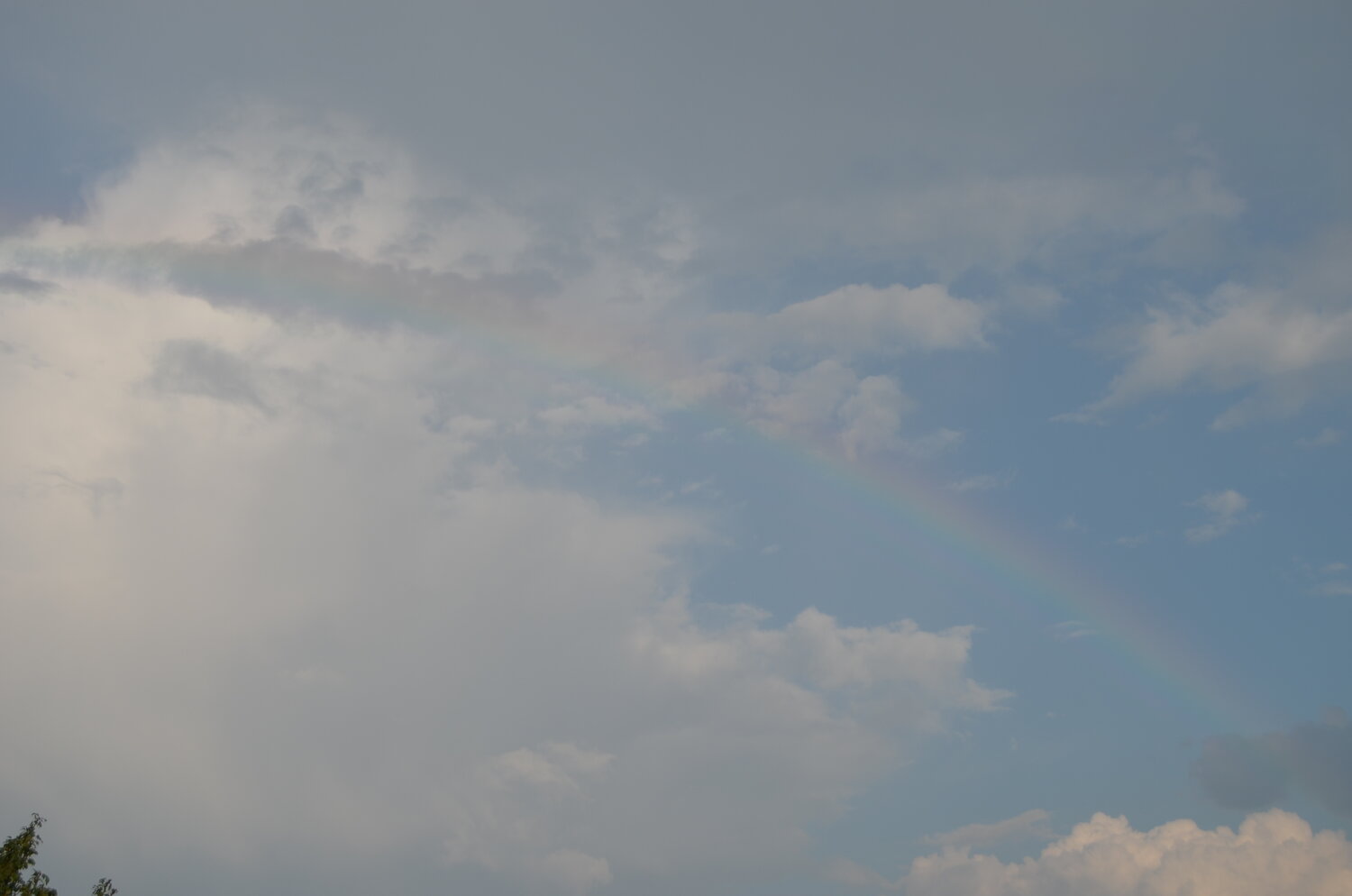Photo #13948484