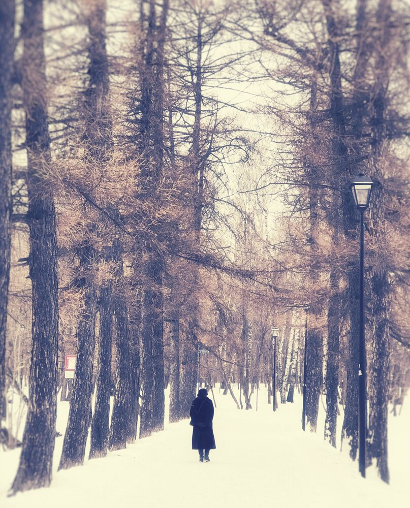 Photograph by Елена Сушкова