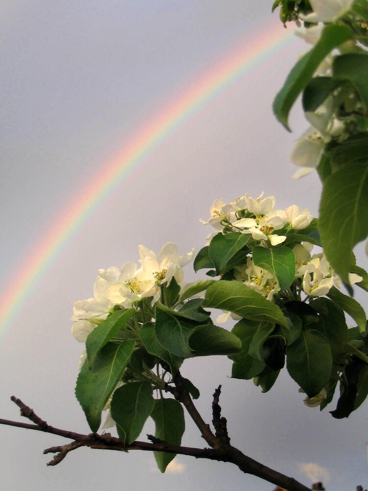 Photograph by Марина Виноградова