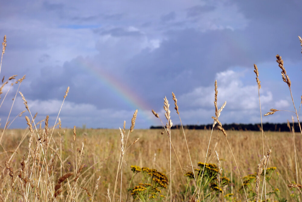 Photograph by Марина Виноградова