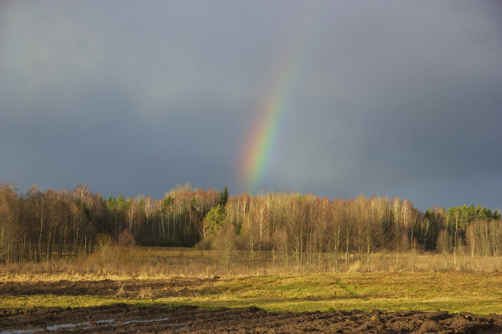 Photograph by Анна-Лаймуте Милошевич