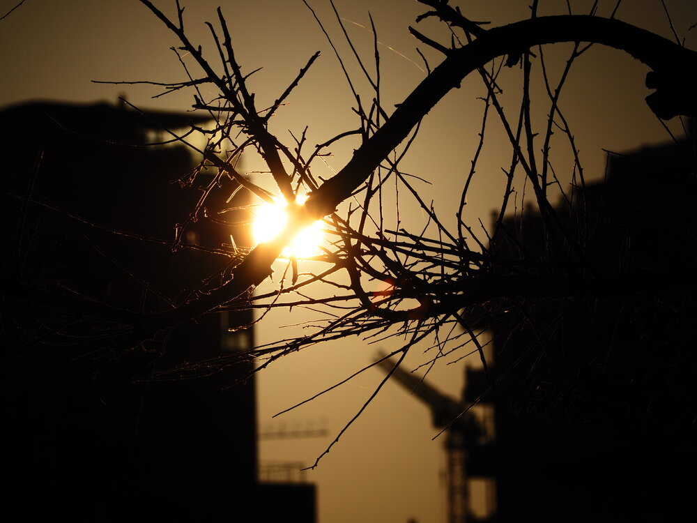 Photograph by Сергей Борисов