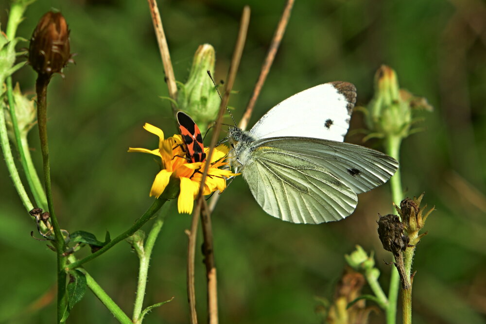 Photograph by Алексей Volg