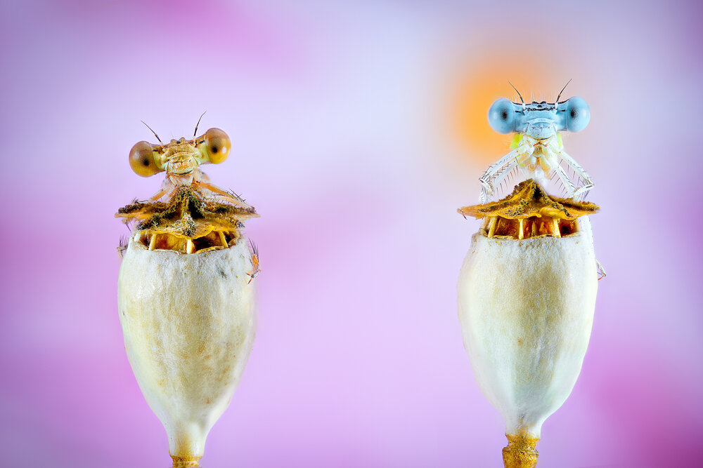 Photograph by Pedro Luis Ajuriaguerra