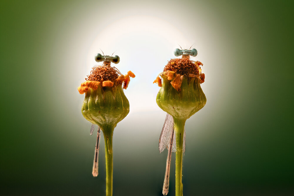 Photograph by Pedro Luis Ajuriaguerra