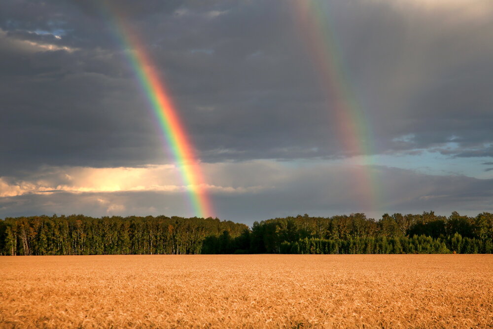Photograph by Андрей Стародубцев
