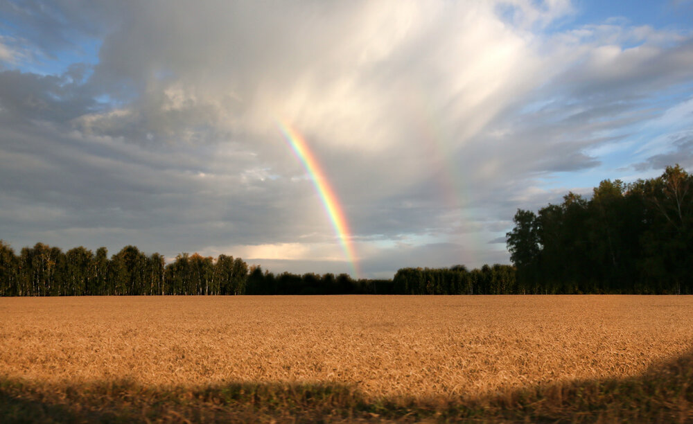 Photograph by Андрей Стародубцев
