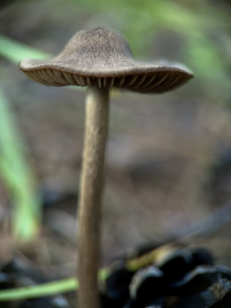 Photograph by Анастасия Самойленко
