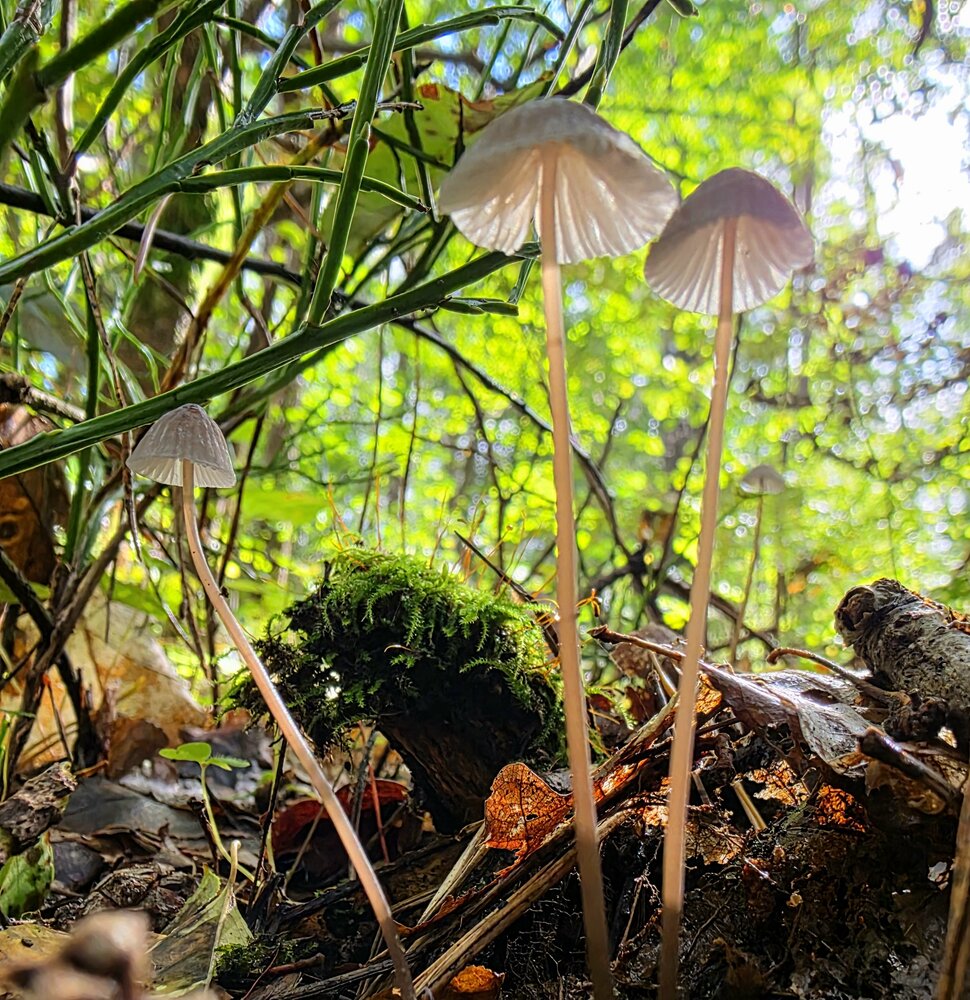 Photograph by Владимир Кублицкий