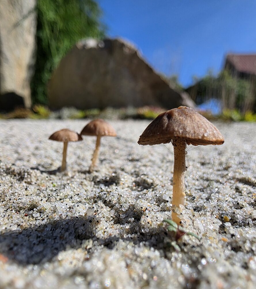 Photograph by Владимир Кублицкий