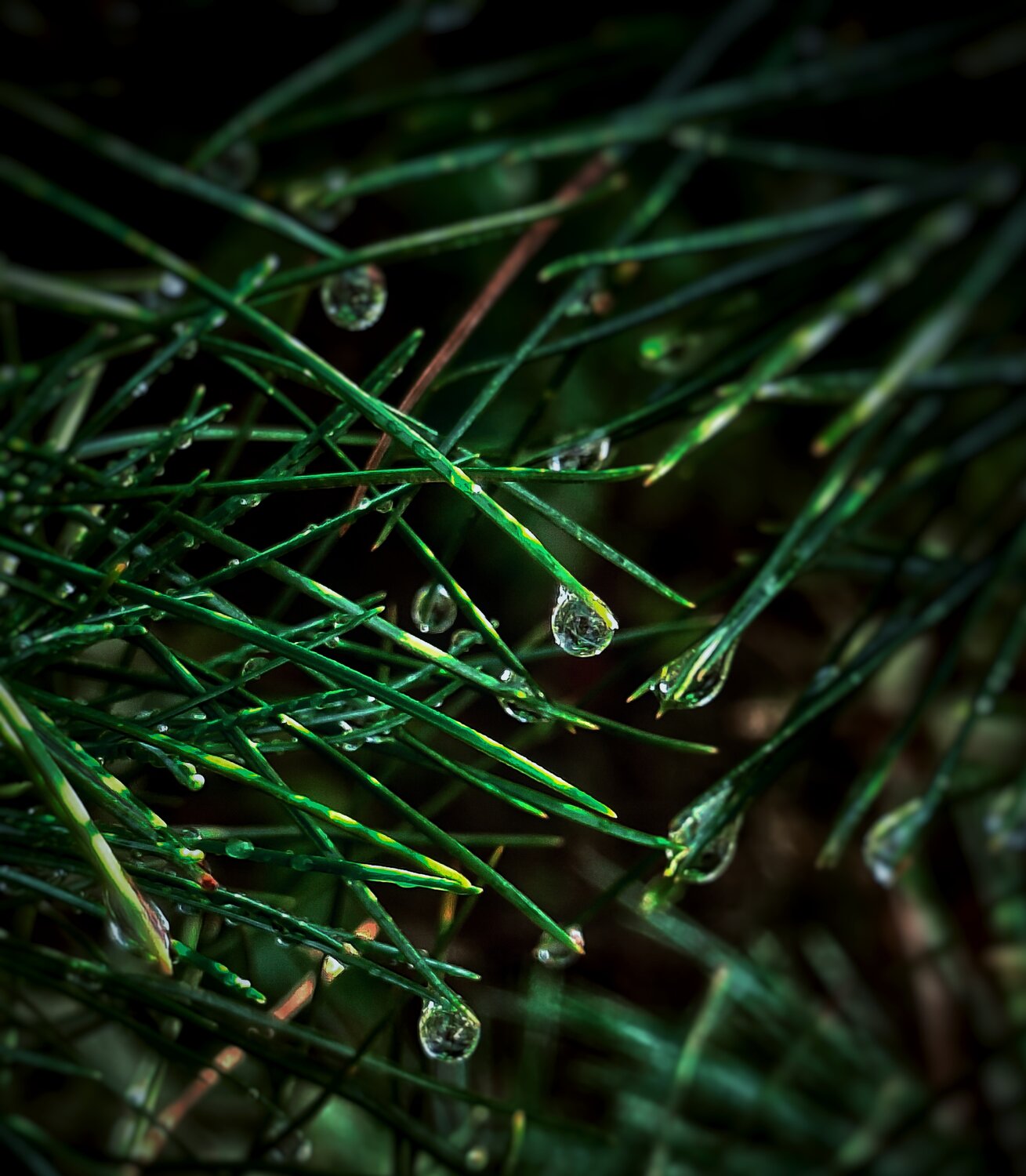 Photo #13949063