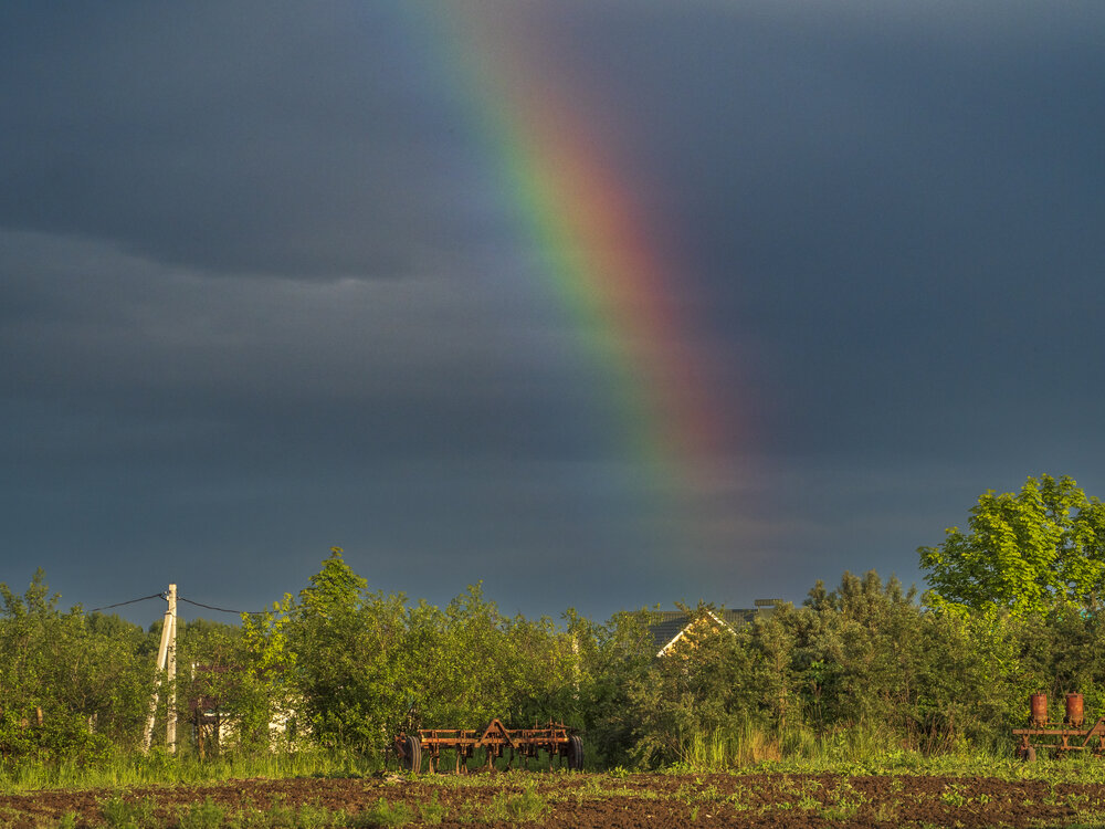 Photograph by Надежда Михайлина