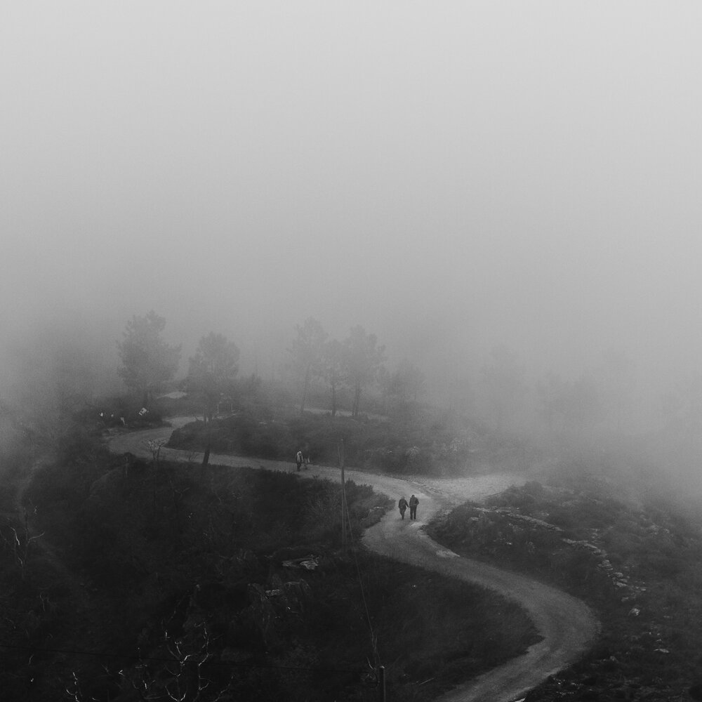 Into the Mist