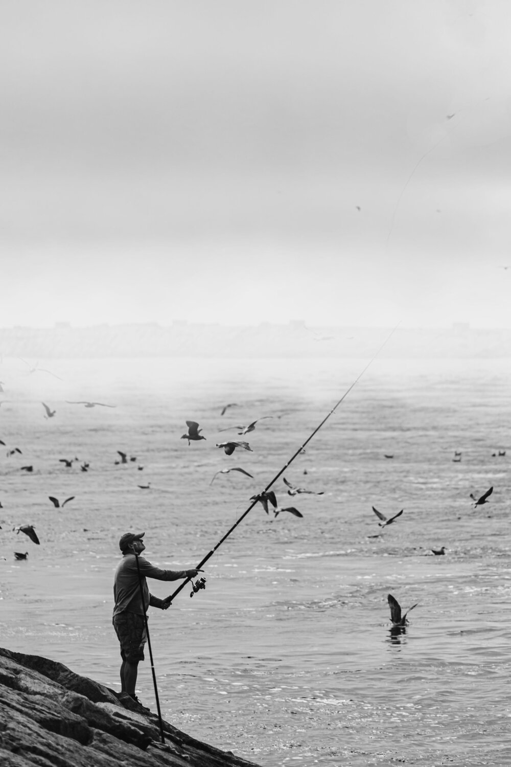 The Fisherman and the Birds