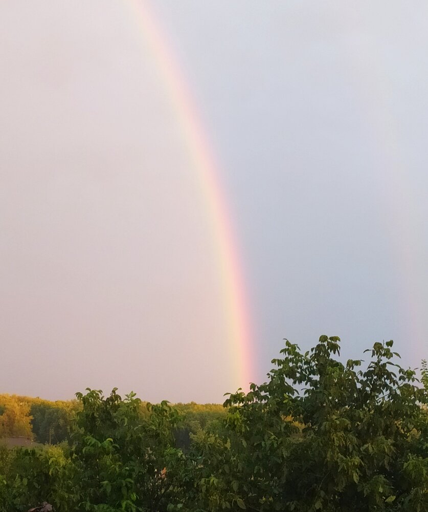 Photograph by Елена Александрова