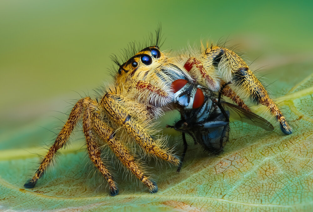 Photograph by Ly Phu Tai
