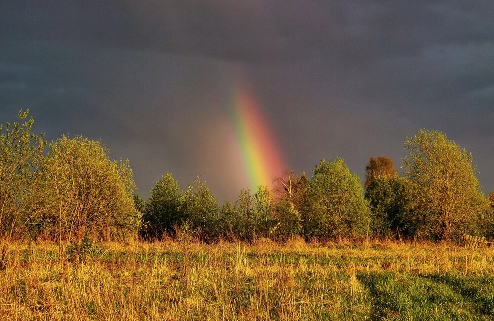 Photograph by Андрей Шестаков