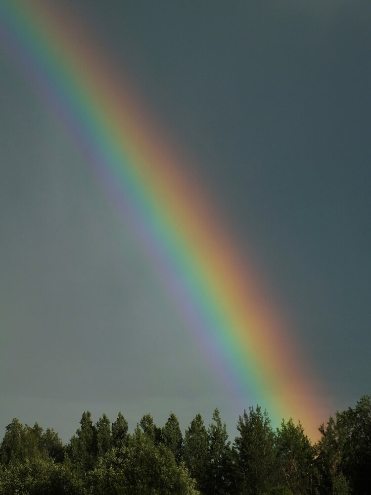 Photograph by Андрей Шестаков
