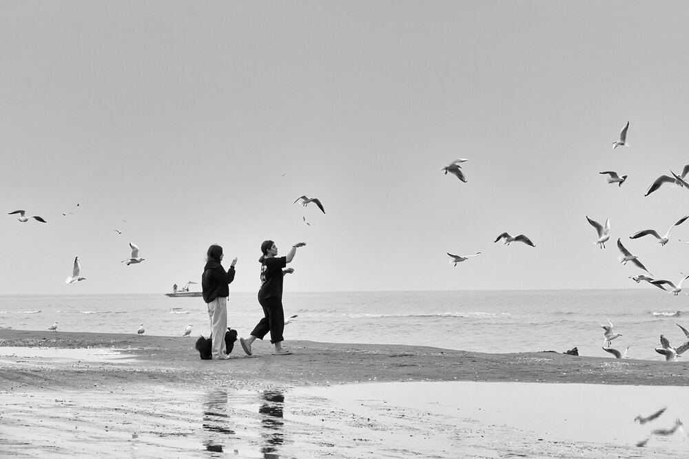 Photograph by Mohammad Daliri Far
