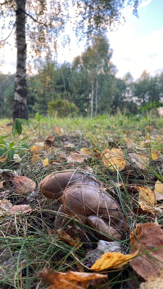 Photograph by Анна Кулакова