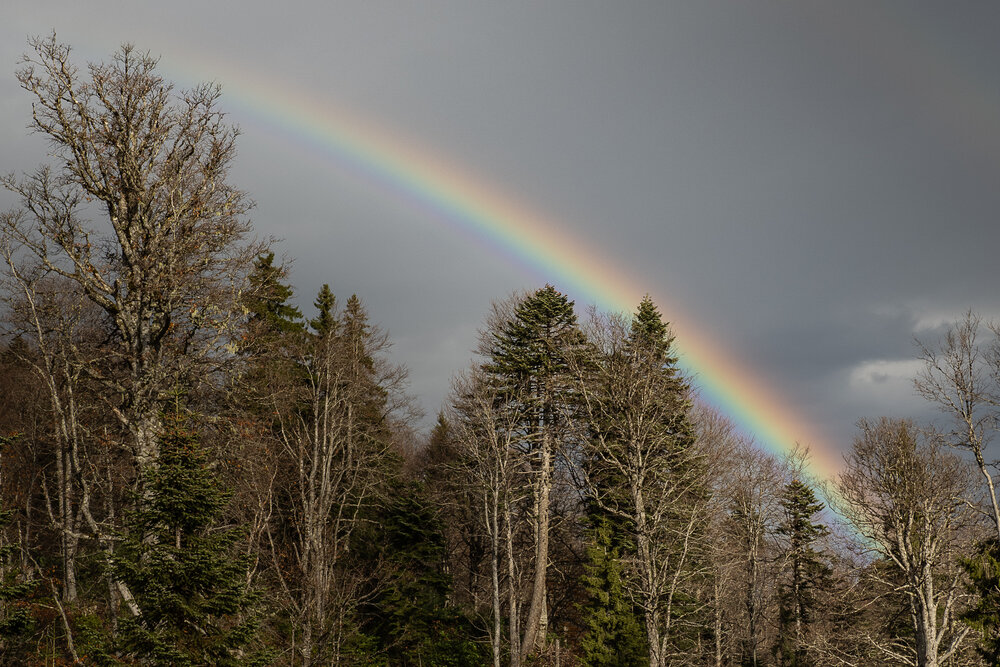 Photograph by Torokhova Vera