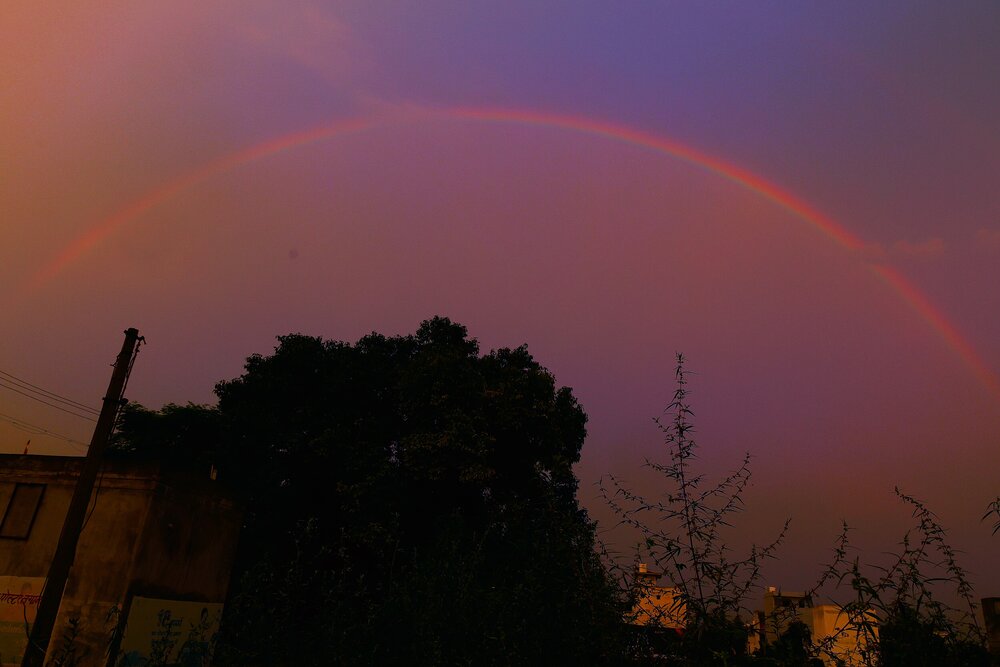 Photograph by G GOVIL