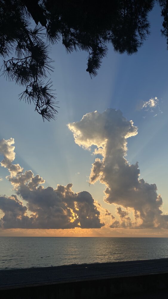 Photograph by Анна Кулакова