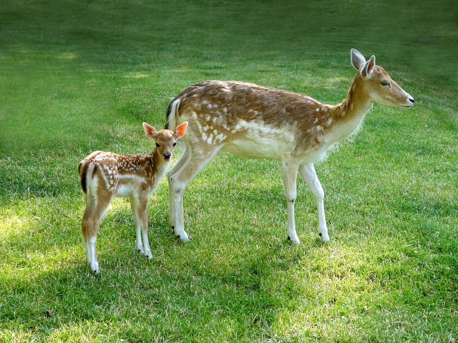 Photo #13949494