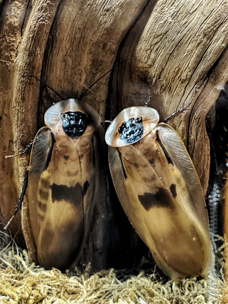 Photograph by Екатерина Народицкая