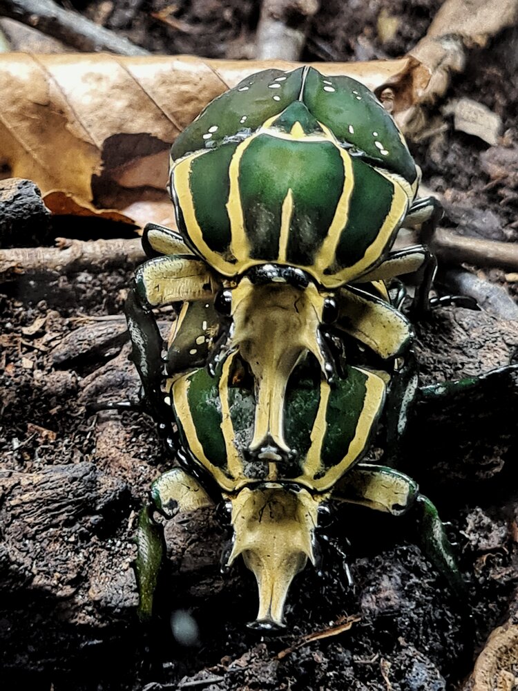 Photograph by Екатерина Народицкая