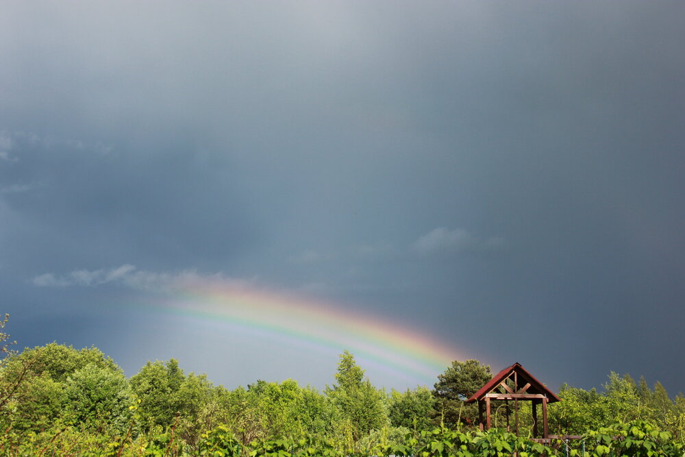 Photograph by Волкова Владимира
